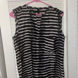 Aqua zebra silky tank